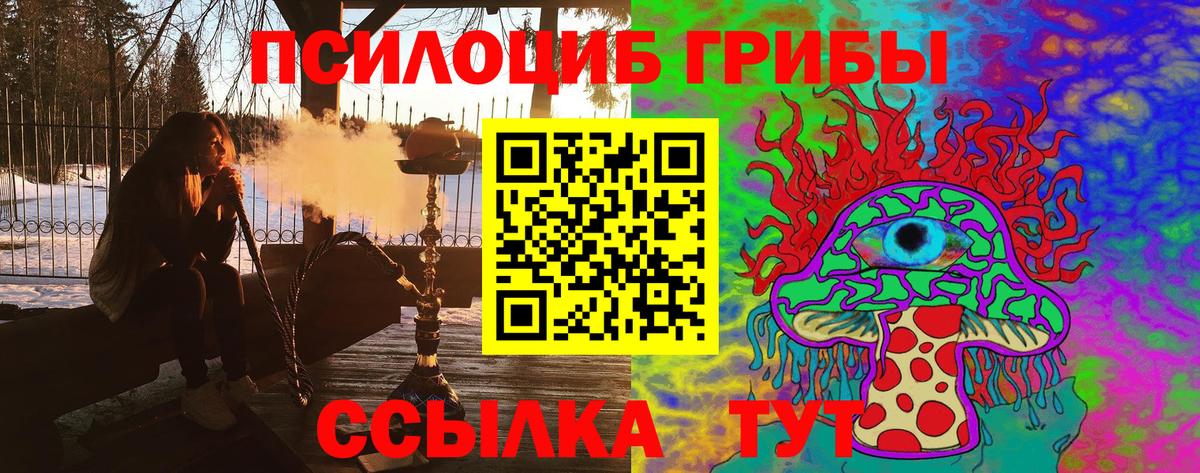 Псилоцибиновые грибы Psilocybe  Вход с VPN  Геленджик 
